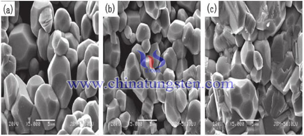 不同燒結溫度黃鎢靶材SEM圖