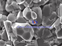  tungsten trioxide SEM figure-5μm