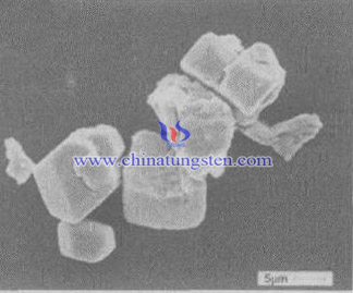 Sarı tungsten oksit SEM 5μm